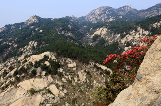 Ƭ 085-1.jpg