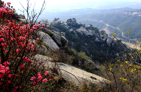 Ƭ 081-1.jpg
