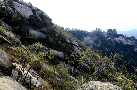 Ƭ 083-1.jpg