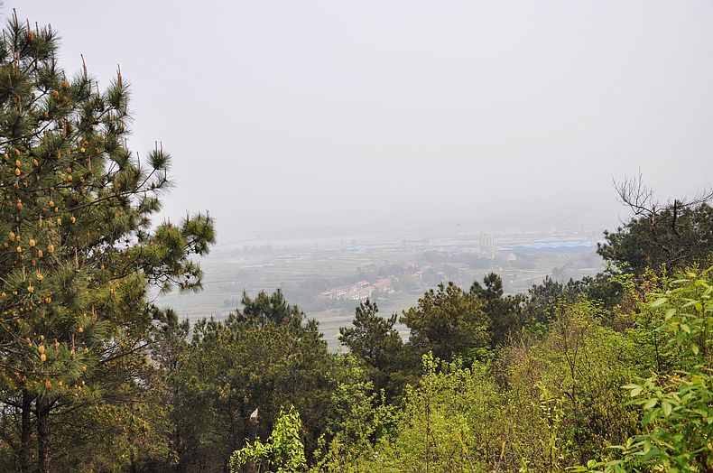 dsc_1959.jpg