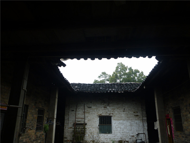 p1050166_.jpg