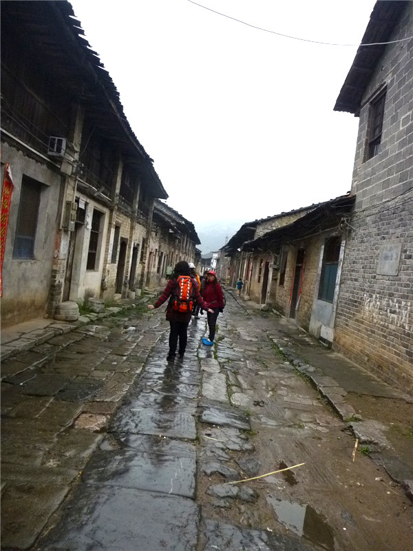 p1050199_.jpg