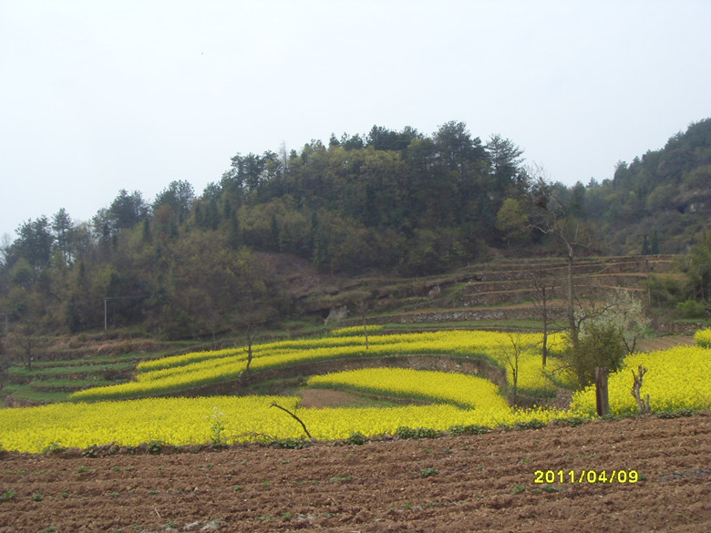 sdc11649_.jpg