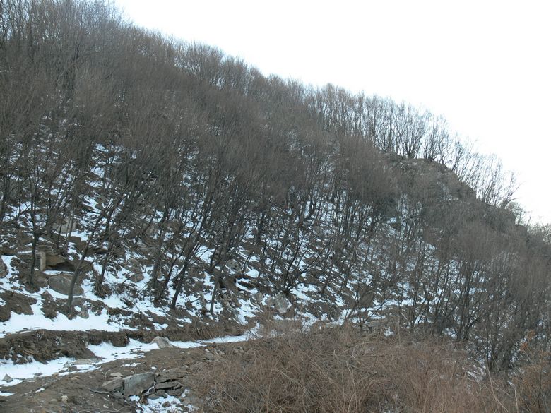 p1140363.jpg