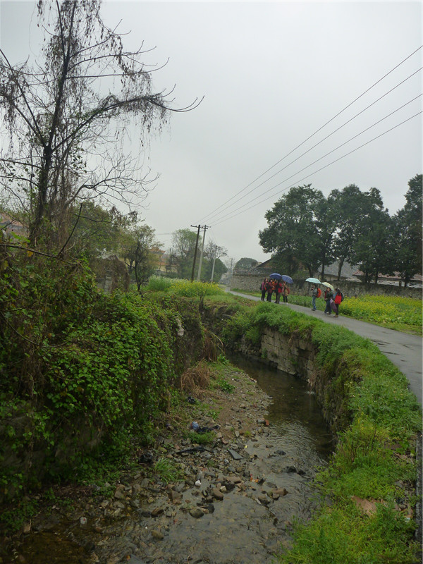 p1050170_.jpg