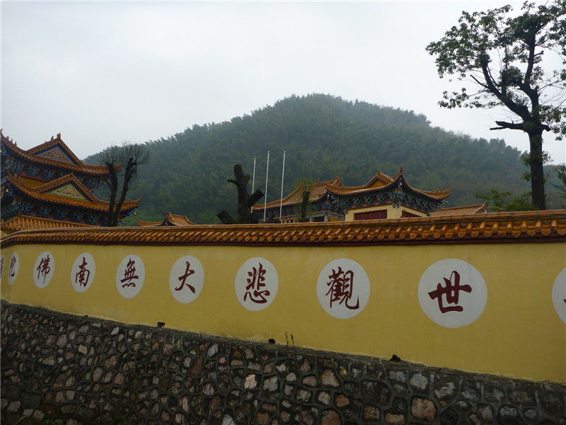 p1050197_.jpg