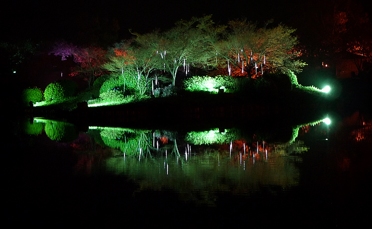 p1100371.jpg