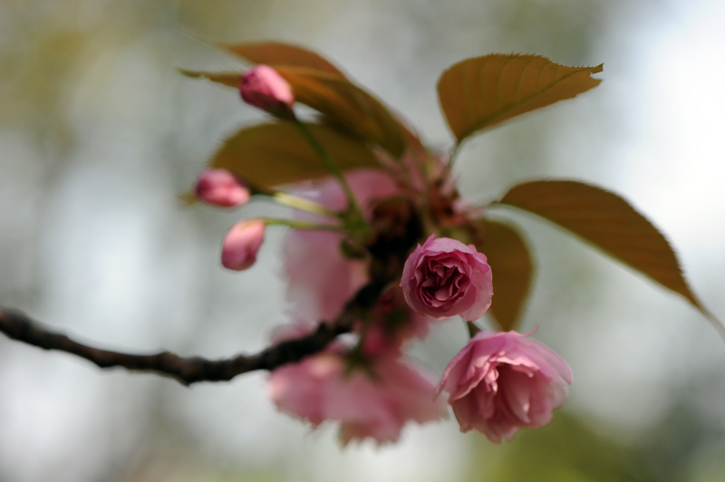 dsc_5847a.jpg
