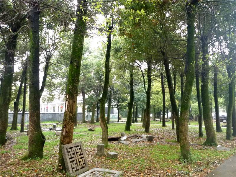 p1050173_.jpg
