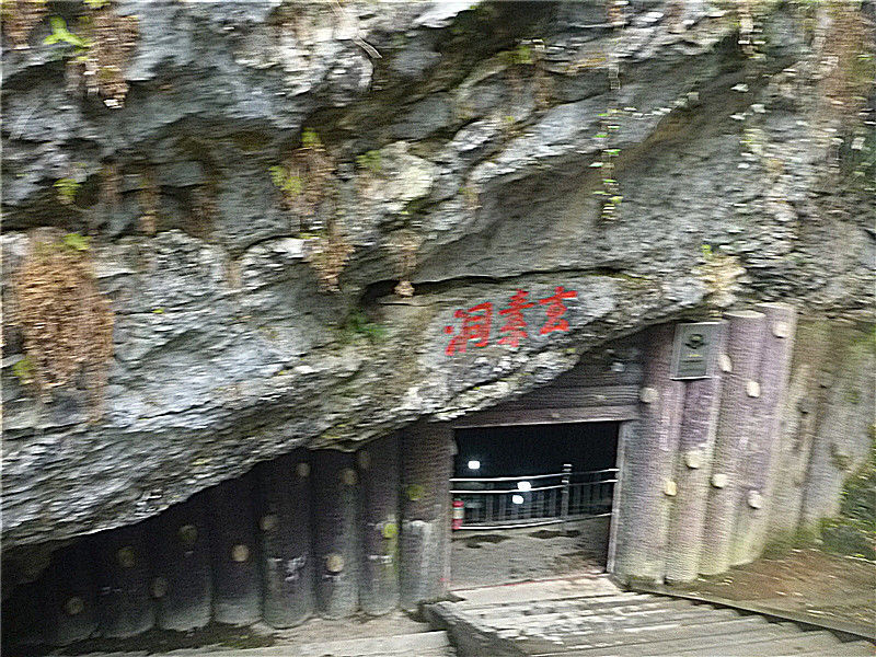 p1050213_.jpg