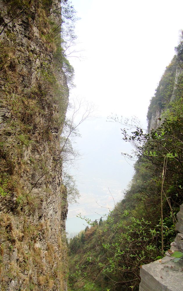 dsc02395.jpg