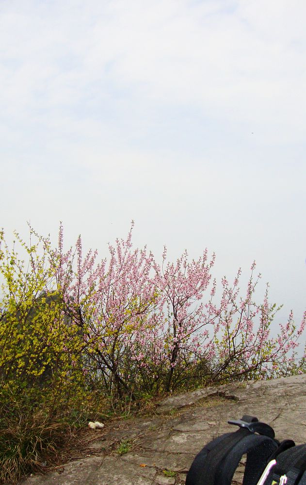 dsc02411.jpg