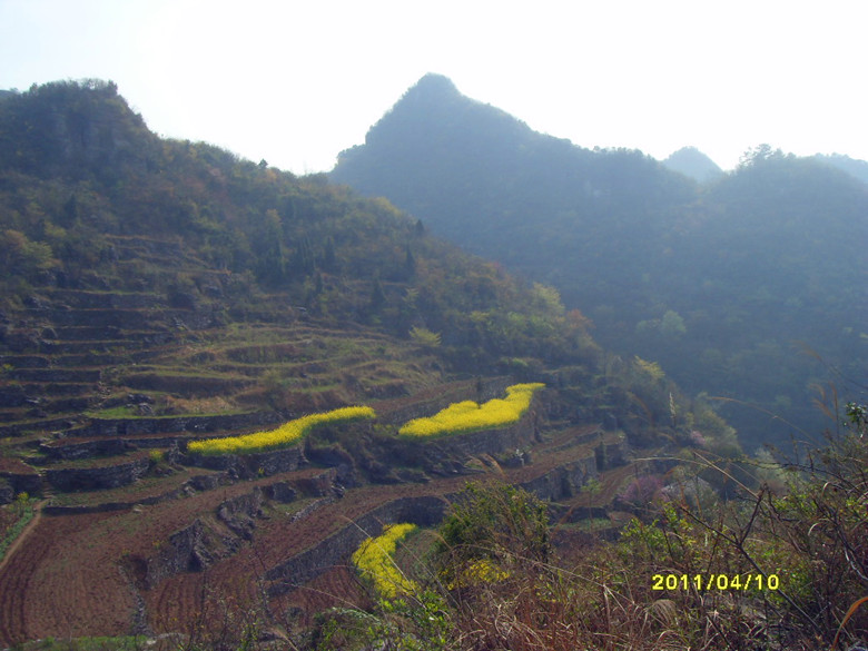 sdc11749_.jpg
