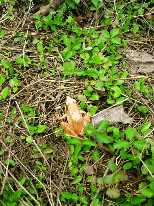img_0585.jpg