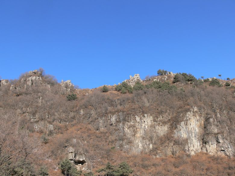 p1140411.jpg