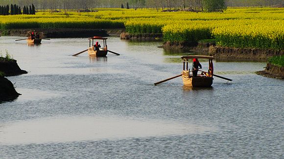 img_0343.jpg