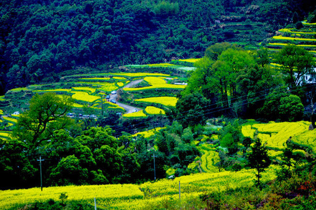 Դ20110405 126.jpg