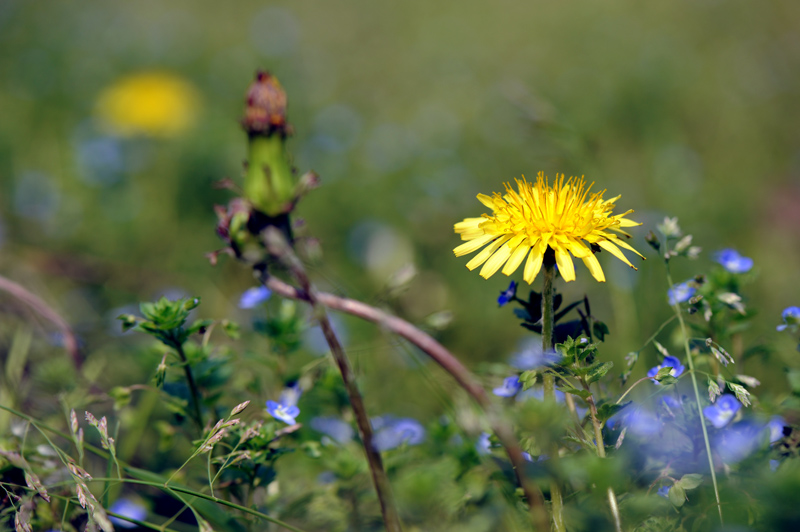 dsc_5881a.jpg
