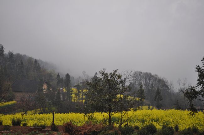 dsc_0032.jpg