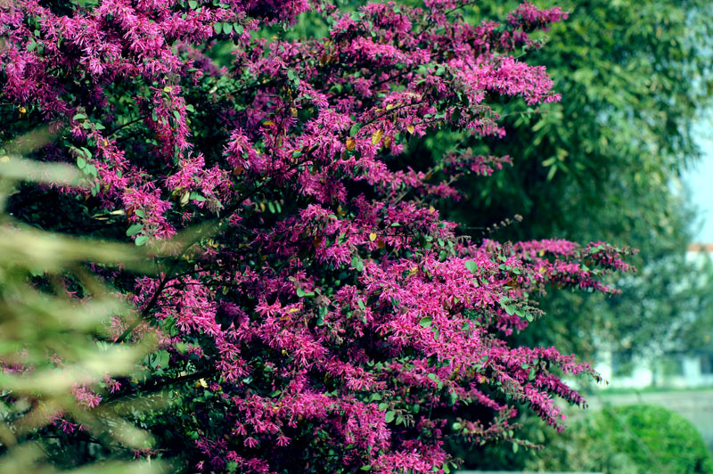 dsc_5884a.jpg