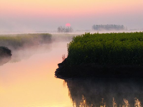 img_0411.jpg