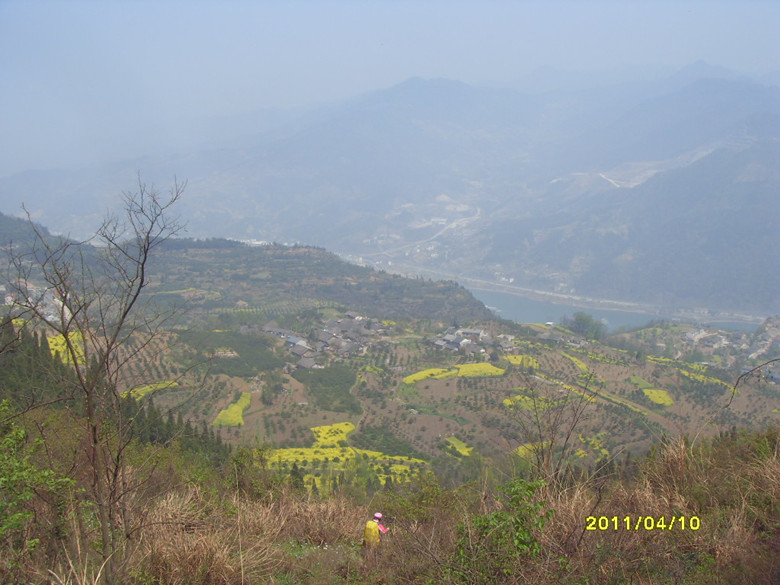 sdc11771_.jpg