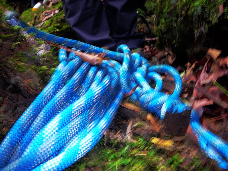 p1140066.jpg