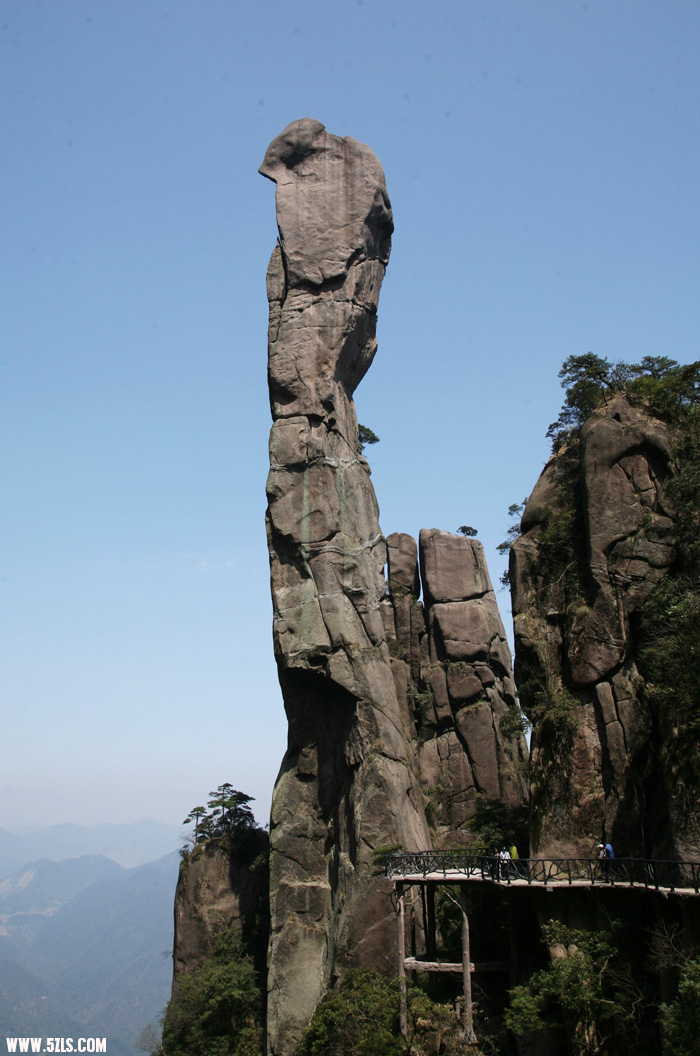 d9c6.jpg