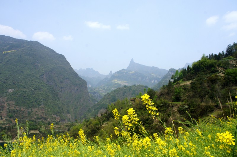 Զ䵱.jpg
