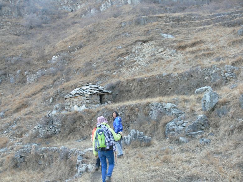p1140442.jpg