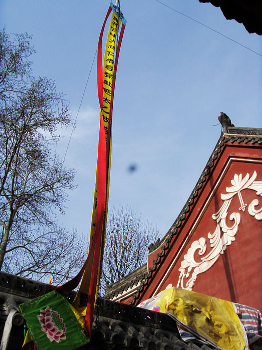 s73f1829.jpg