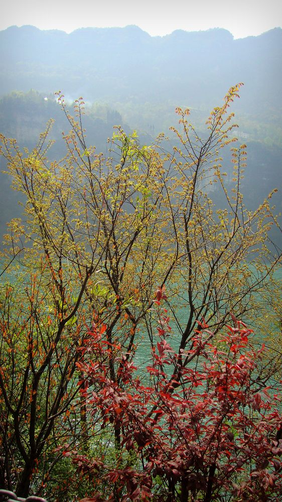 dsc02535.jpg