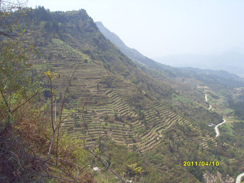 sdc11795_.jpg