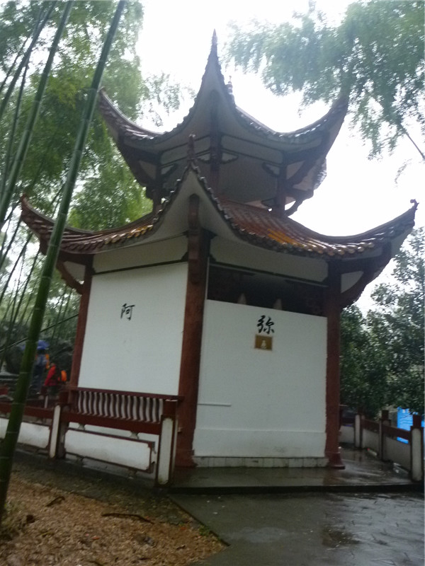 p1050267_.jpg