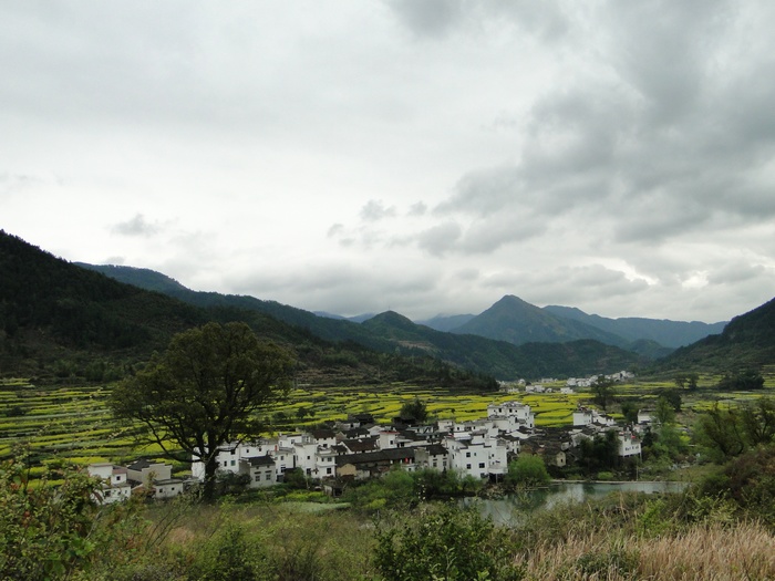 dsc02120.jpg