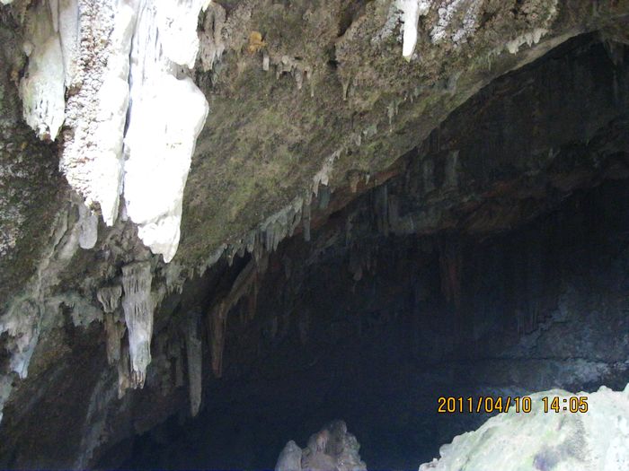 img_0612.jpg