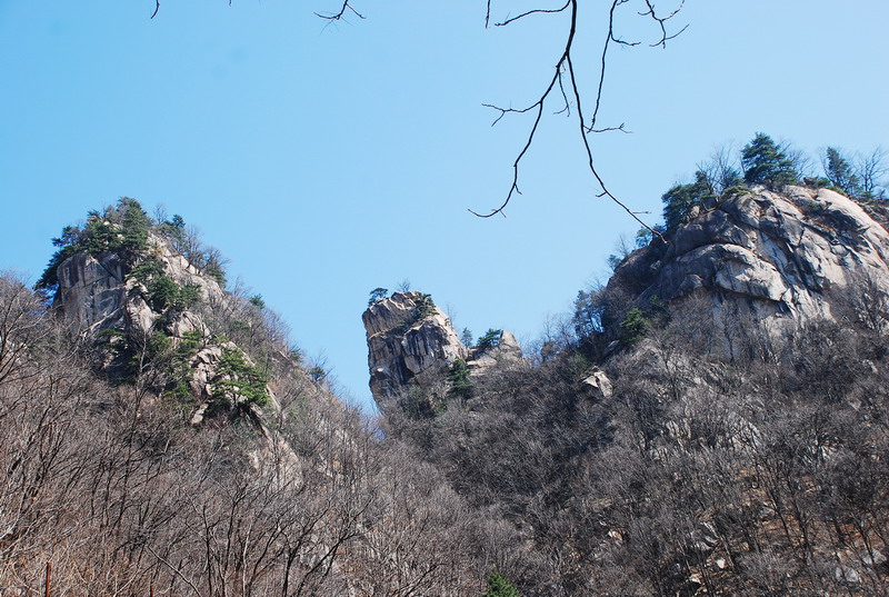 dsc_0345.jpg