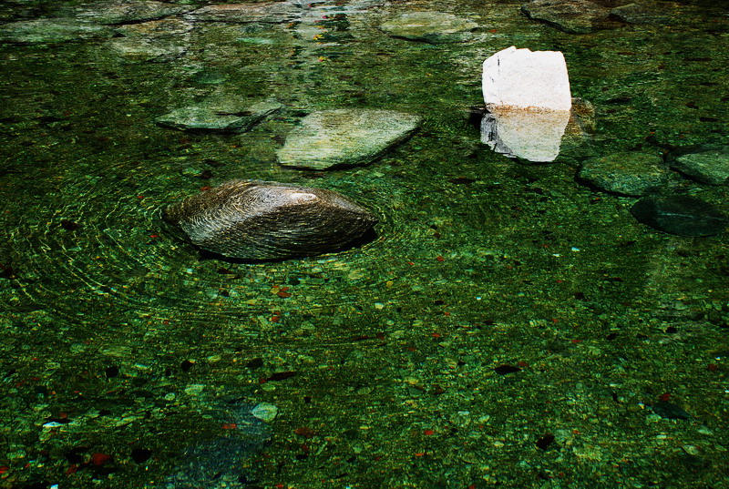 dsc_0351.jpg