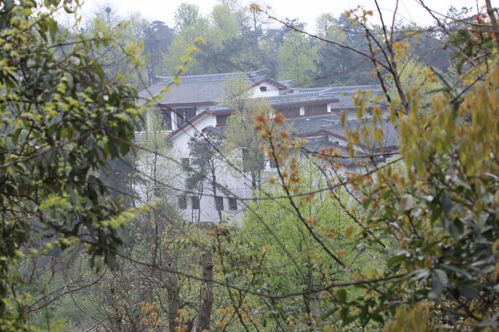 img_1645.jpg