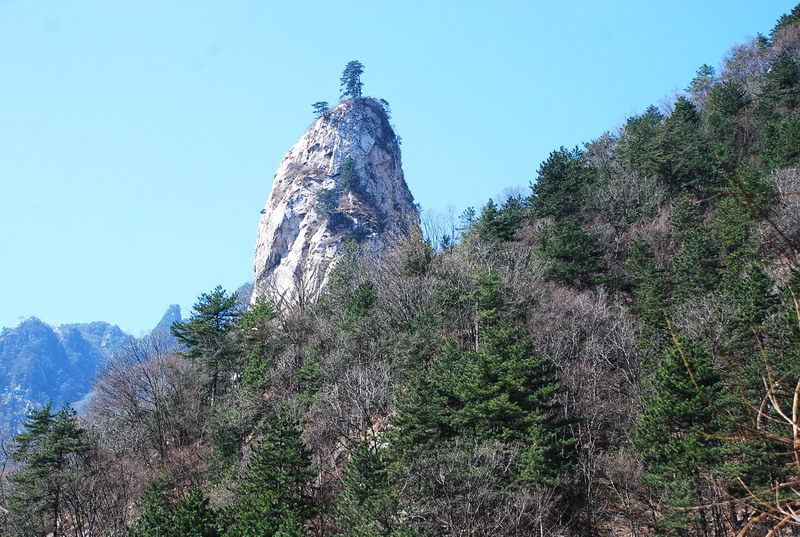 dsc_0365.jpg
