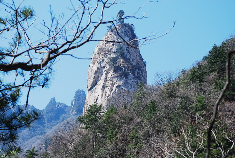 dsc_0366.jpg