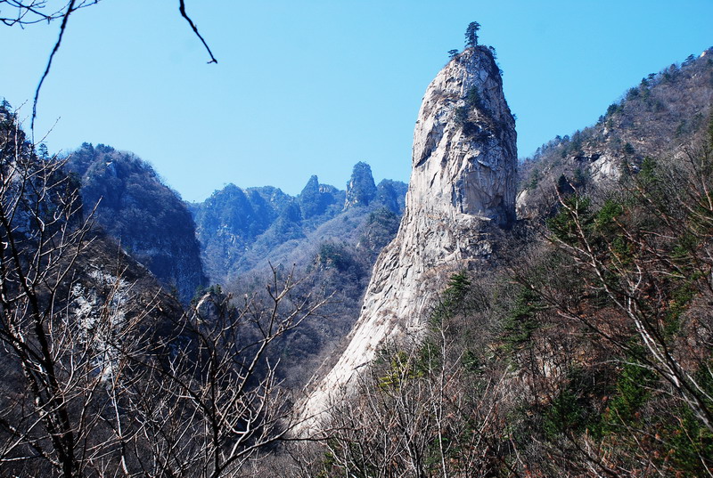 dsc_0367.jpg