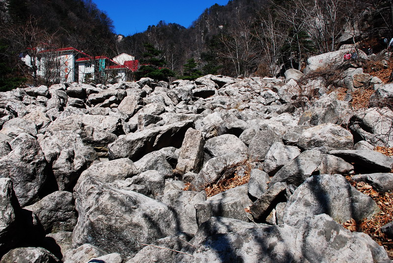 dsc_0374.jpg