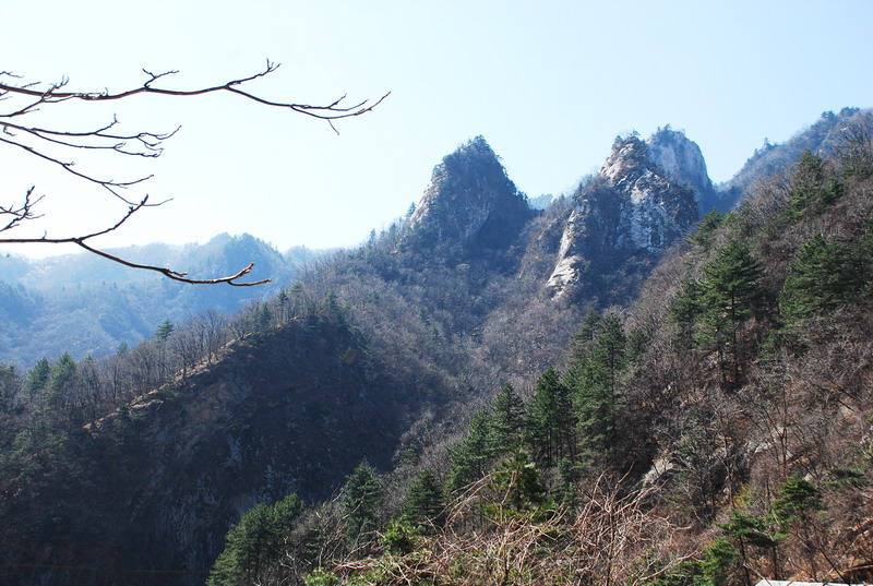 dsc_0375.jpg