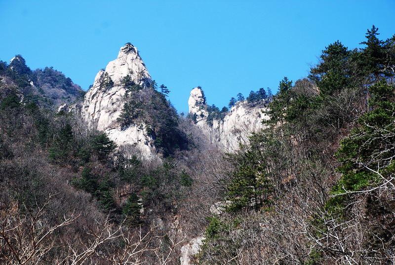 dsc_0378.jpg