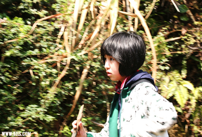 1104072123d1fac0eef4fc5be1.jpg