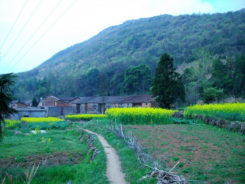 alim5561.jpg