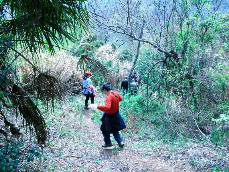 alim5370.jpg