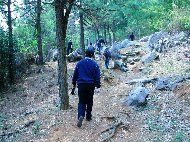 alim5354.jpg