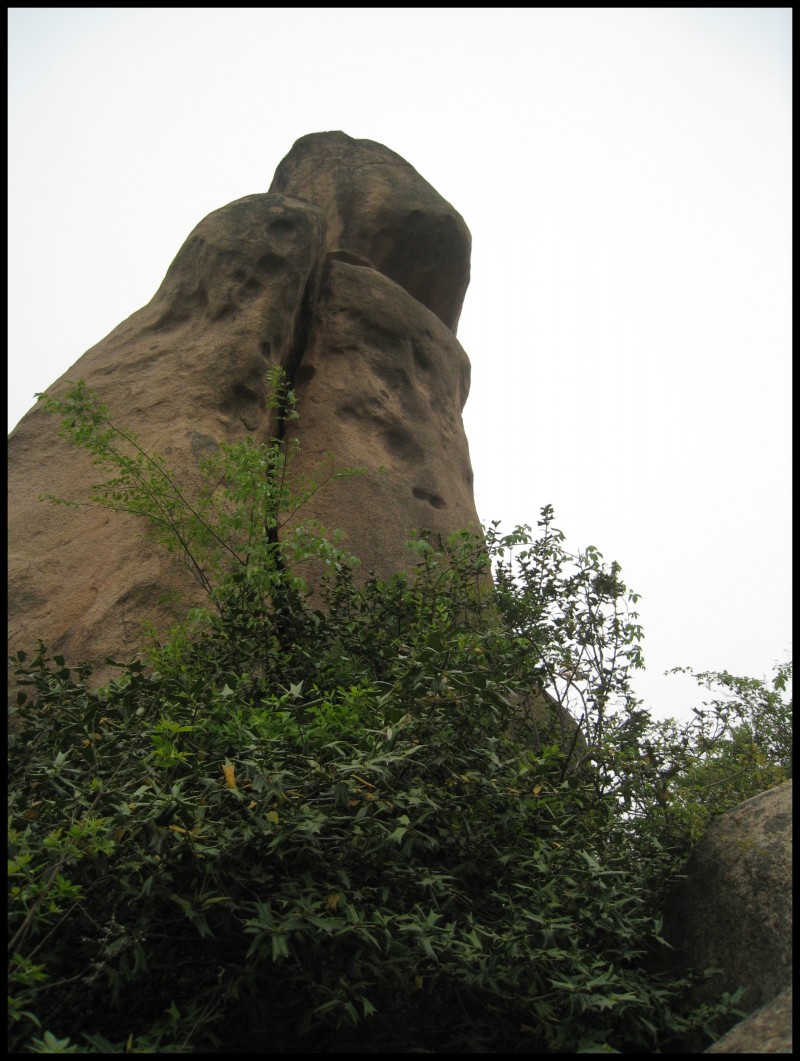 conew_img_5510.jpg